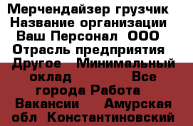 Мерчендайзер-грузчик › Название организации ­ Ваш Персонал, ООО › Отрасль предприятия ­ Другое › Минимальный оклад ­ 40 000 - Все города Работа » Вакансии   . Амурская обл.,Константиновский р-н